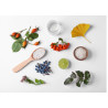 Zestaw Tea Tree Shampoo + Tea Tree Lotion